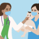 Contabilidade de clínicas médicas em Aracaju